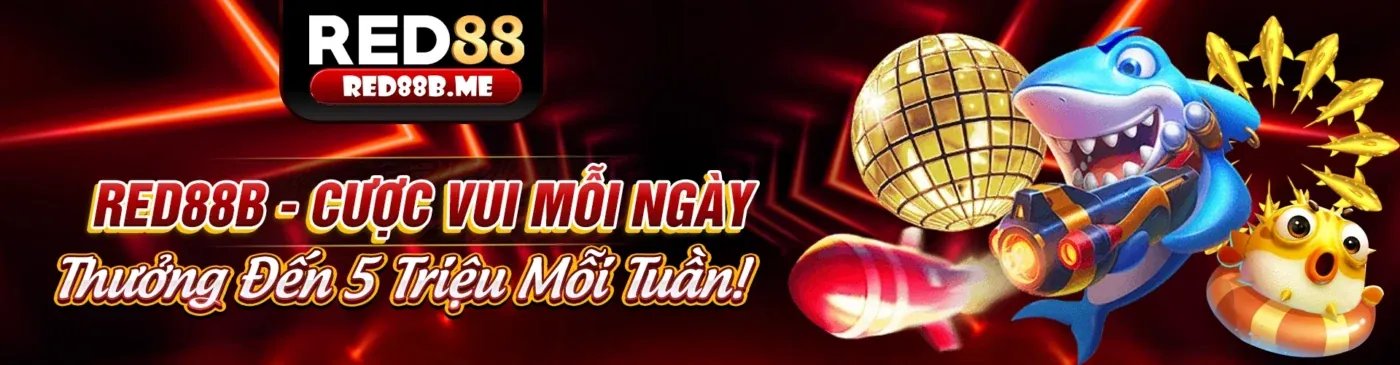 Quan sát và ghi nhớ